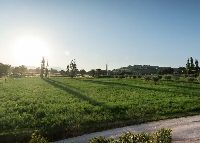 Bed & Breakfast Al Pian D'assisi Assisi